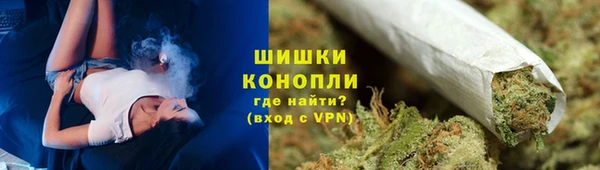 гидропоника Медногорск